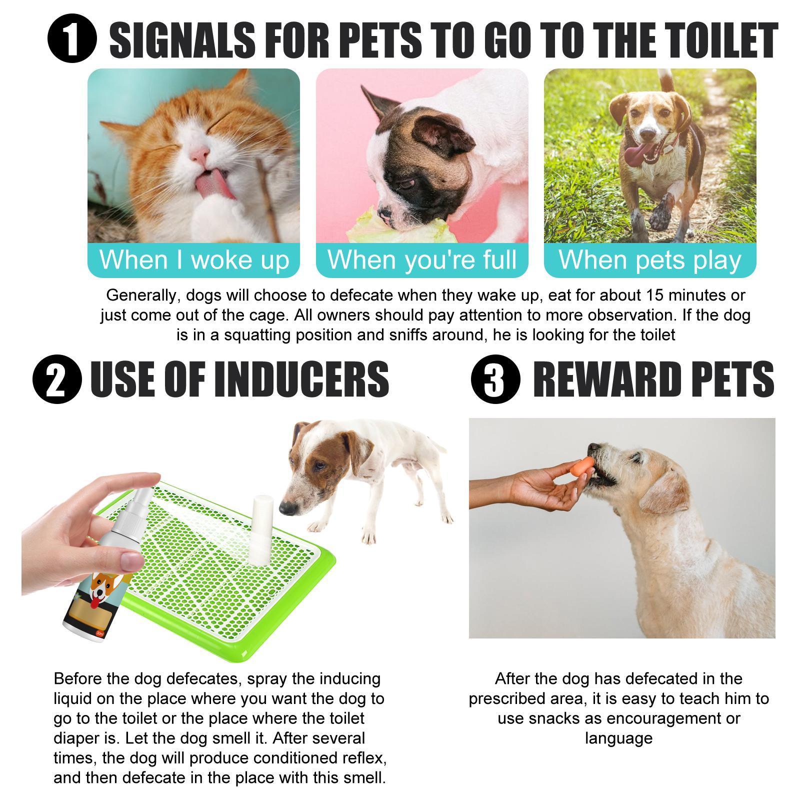 KFX-3048125 Pet Defecation Positioning Spray for Cats and Dogs