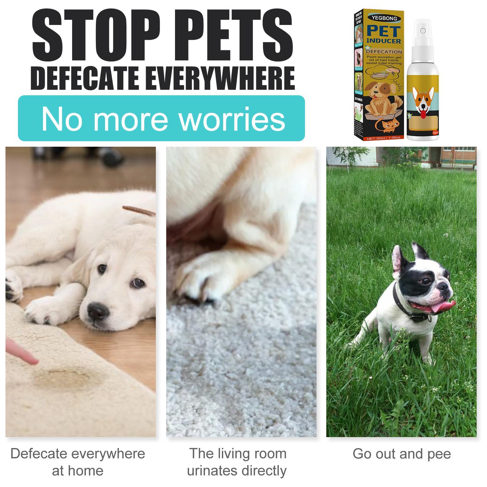 KFX-3048125 Pet Defecation Positioning Spray for Cats and Dogs