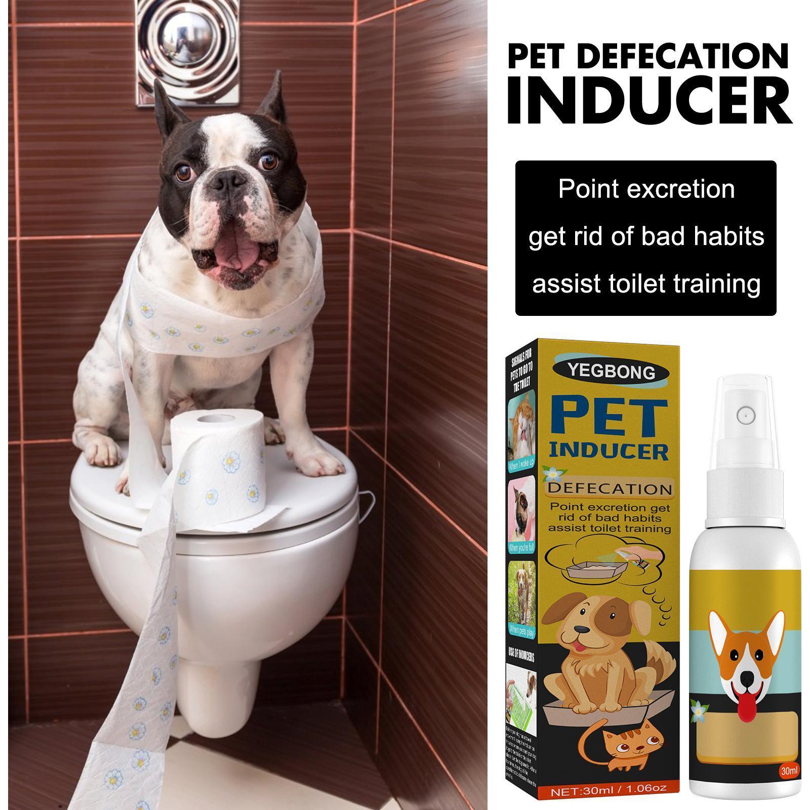KFX-3048125 Pet Defecation Positioning Spray for Cats and Dogs