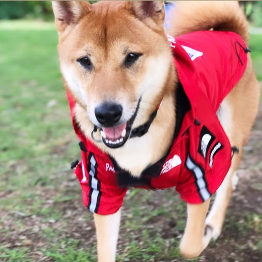 KFX-3050045 Large Dog Raincoat - Waterproof and Windproof, Available in Black and Red, Sizes S-5XL, Made of Durable Polyester
