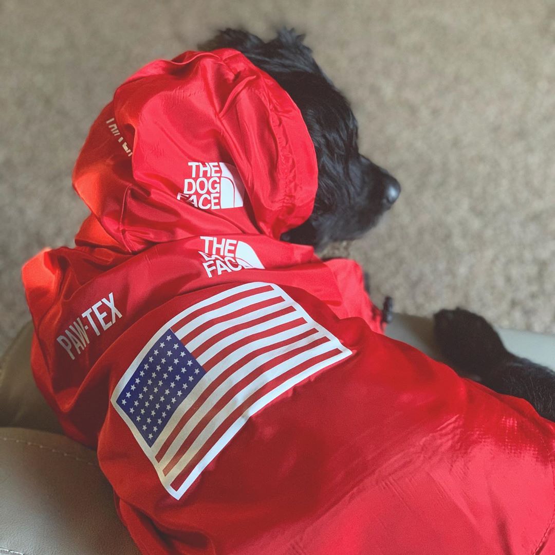 KFX-3050045 Large Dog Raincoat - Waterproof and Windproof, Available in Black and Red, Sizes S-5XL, Made of Durable Polyester