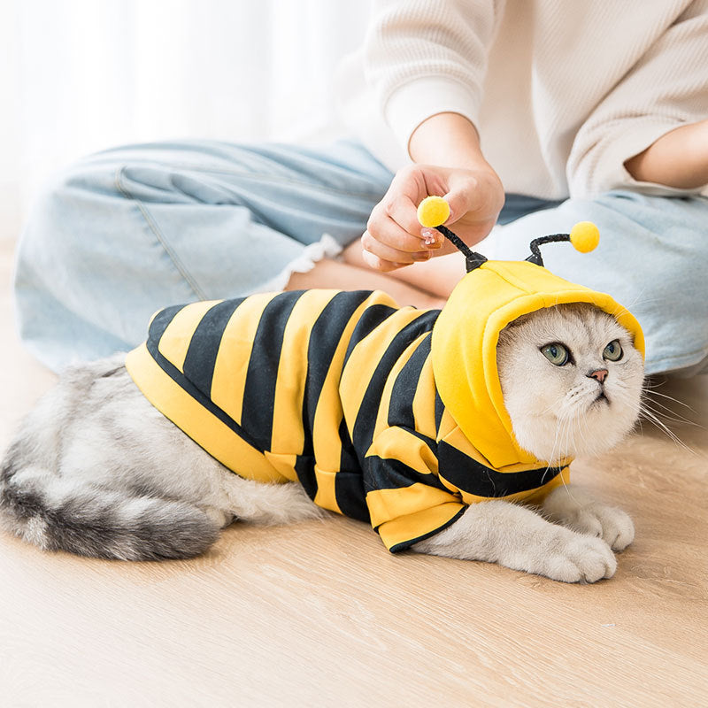 KFX-3053501 Adorable Yellow Milk Silk Sweater for Dogs - Cute Style, Comfortable Fit