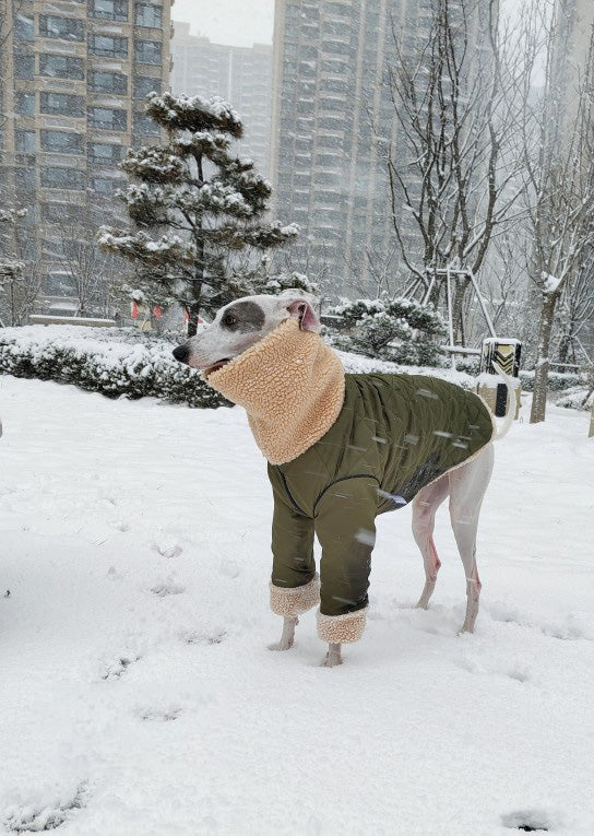 KFX-3056573 Super Thick Lamb Fleece Coat for Greyhounds and Whippets - Casual Two-Wear Design