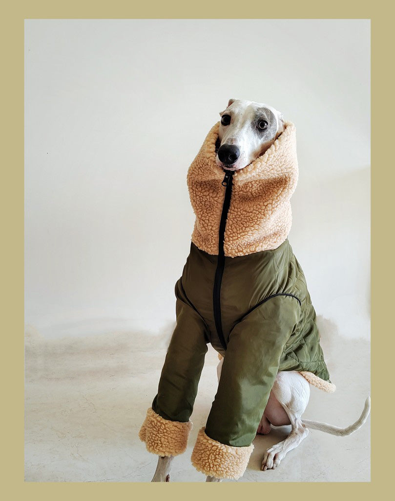 KFX-3056573 Super Thick Lamb Fleece Coat for Greyhounds and Whippets - Casual Two-Wear Design