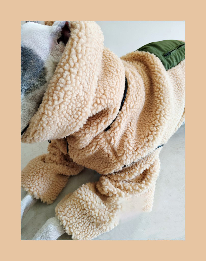KFX-3056573 Super Thick Lamb Fleece Coat for Greyhounds and Whippets - Casual Two-Wear Design