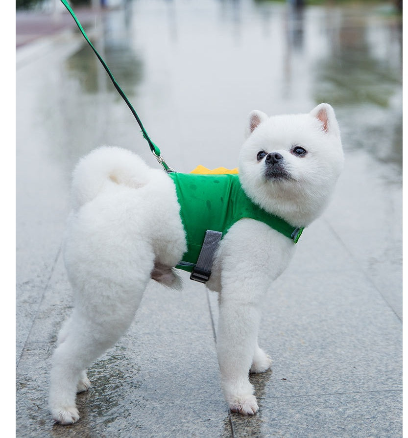 KFX-3063229 Cute Dinosaur Chest Strap with 1.2m Traction Belt for Pets