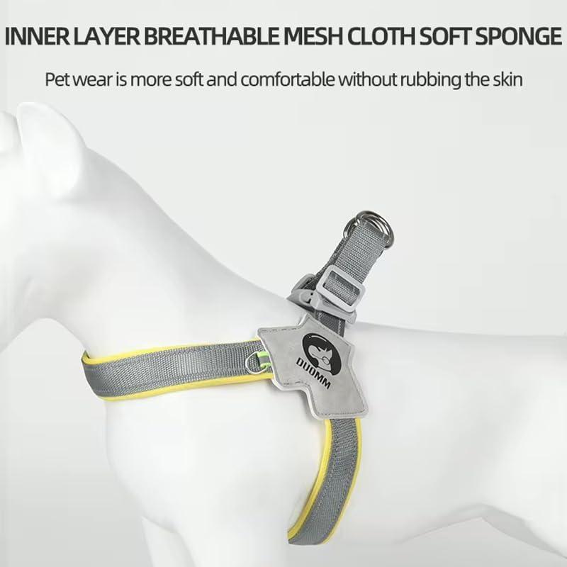 KFX-3065405 Adjustable Pet Harness with Leash Set - Comfortable No-Pull Design for Dogs and Cats, Reflective for Night Safety, Available in Multiple Sizes