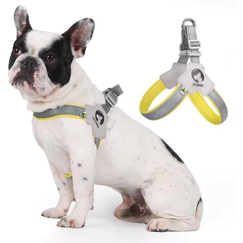 KFX-3065405 Adjustable Pet Harness with Leash Set - Comfortable No-Pull Design for Dogs and Cats, Reflective for Night Safety, Available in Multiple Sizes