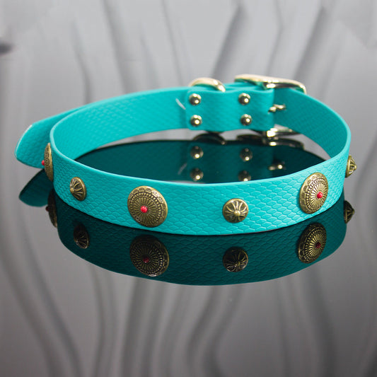 KFX-3065917 Washable Encapsulization Webbing Dog Collar - Available in Multiple Colors and Sizes
