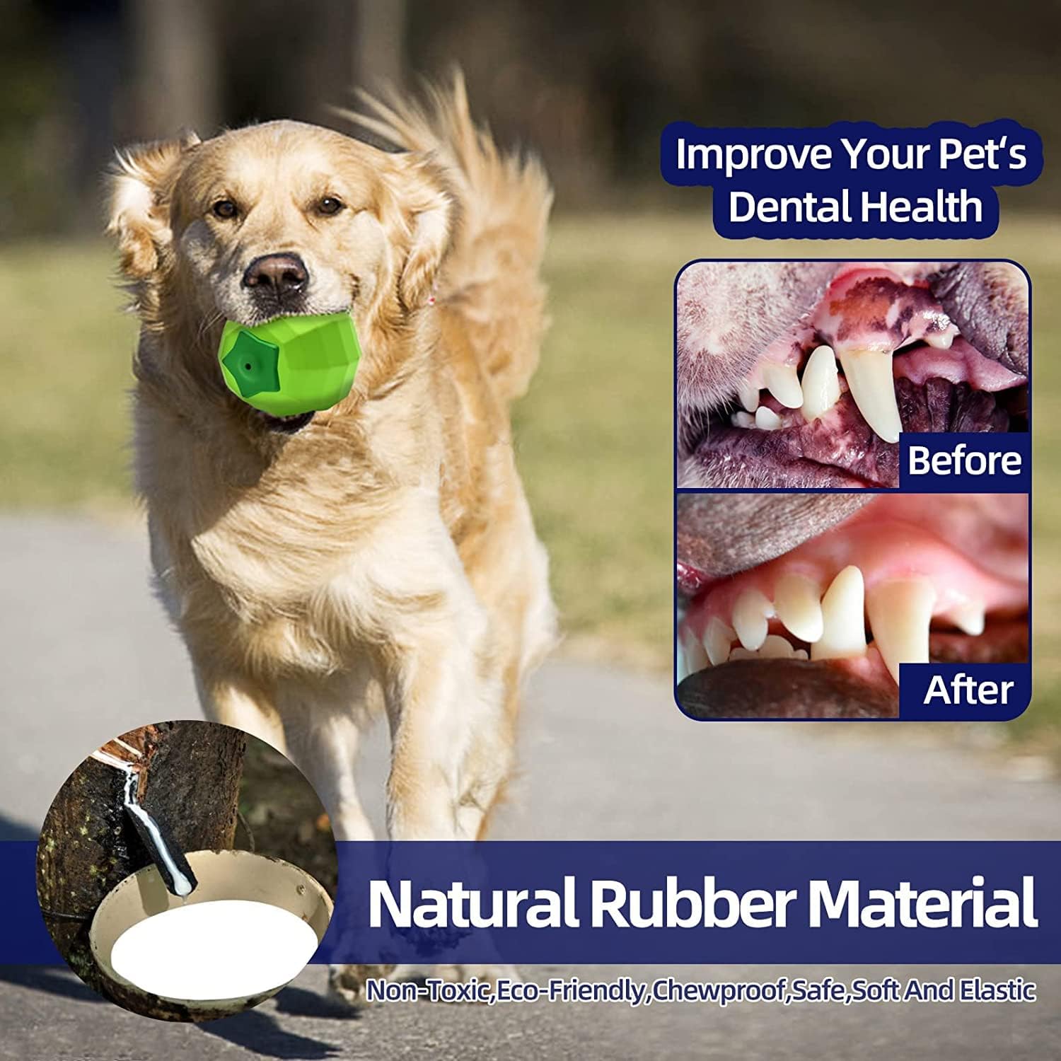 KFX-3067197 Durable Beef Flavor Squeaky Chew Toy for Medium to Large Dogs - Non-Toxic Rubber, Interactive Fetch Ball