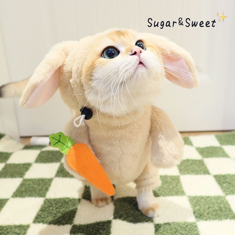 KFX-3068093 Radish Rabbit Costume with Carrot Props for Cats and Dogs