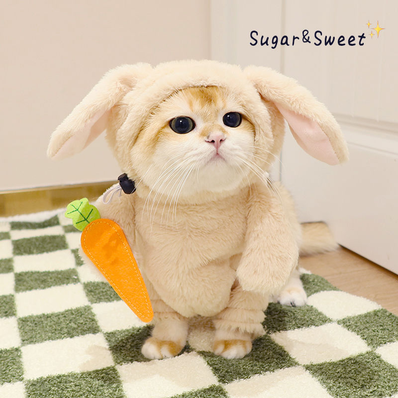 KFX-3068093 Radish Rabbit Costume with Carrot Props for Cats and Dogs