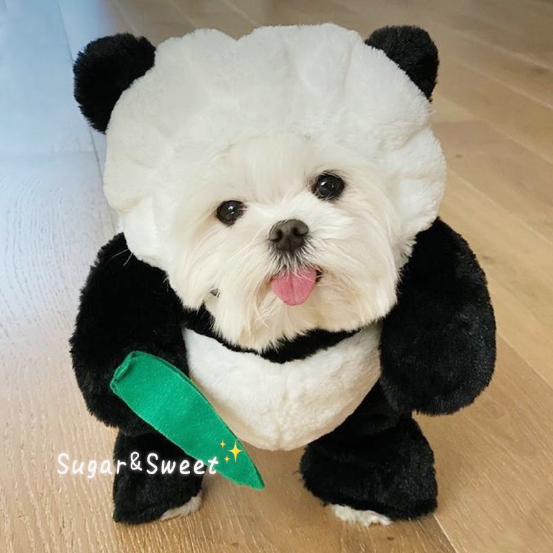 KFX-3068093 Radish Rabbit Costume with Carrot Props for Cats and Dogs