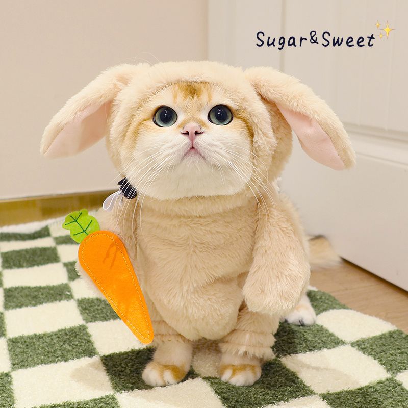 KFX-3068093 Radish Rabbit Costume with Carrot Props for Cats and Dogs