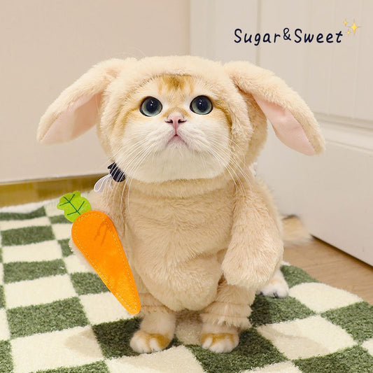 KFX-3068093 Radish Rabbit Costume with Carrot Props for Cats and Dogs