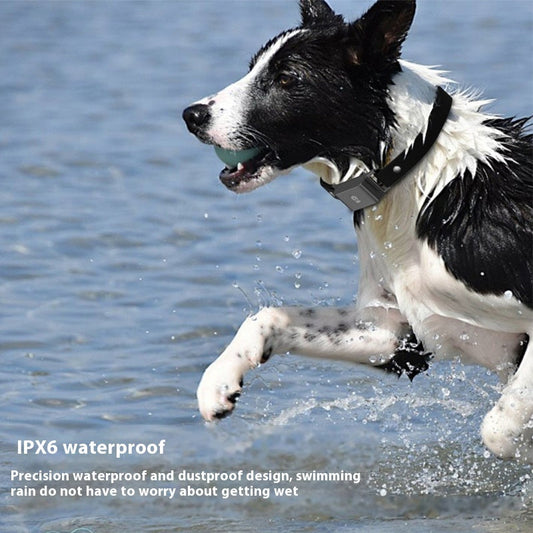 KFX-3071677 Pet GPS Positioning Collar - Accurate Tracking Device with Lithium Battery, 32MB Memory and Compact Design