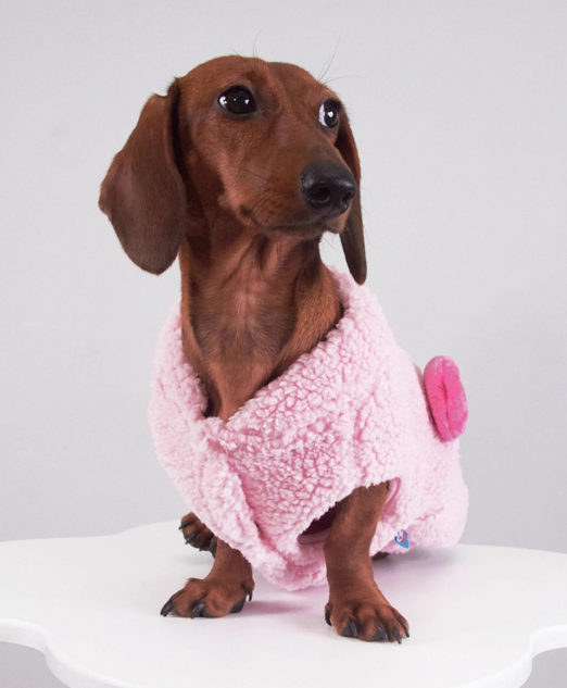 KFX-3074237 Lambswool Vest for Dogs and Cats – Cozy Autumn and Winter Pet Clothing