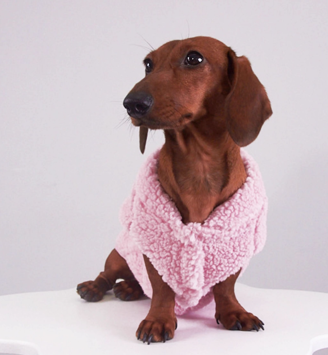 KFX-3074237 Lambswool Vest for Dogs and Cats – Cozy Autumn and Winter Pet Clothing