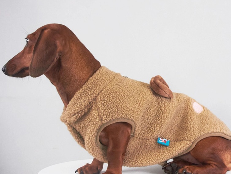 KFX-3074237 Lambswool Vest for Dogs and Cats – Cozy Autumn and Winter Pet Clothing