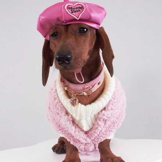 KFX-3074237 Lambswool Vest for Dogs and Cats – Cozy Autumn and Winter Pet Clothing