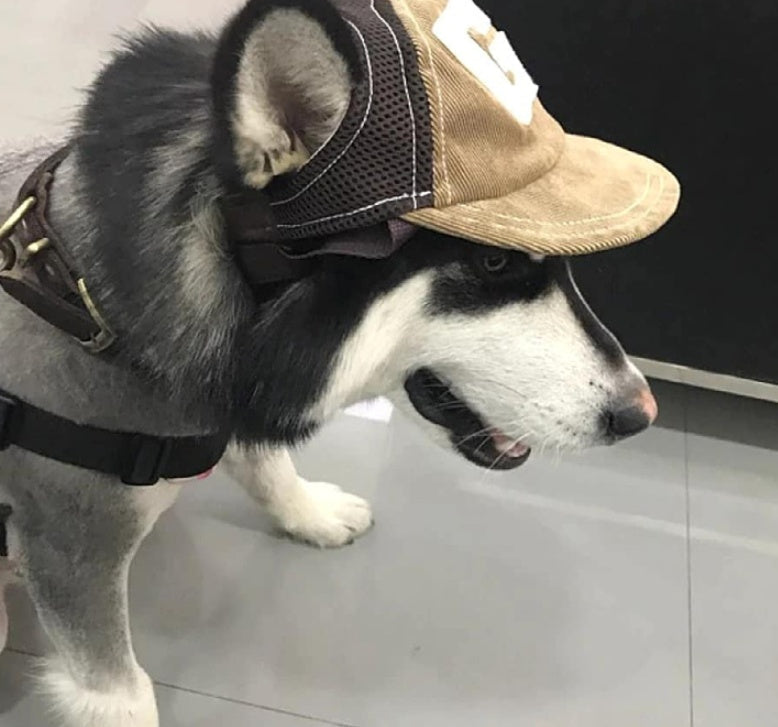 KFX-3074493 Breathable Corduroy Dog Hat with Sunscreen Protection - Brown