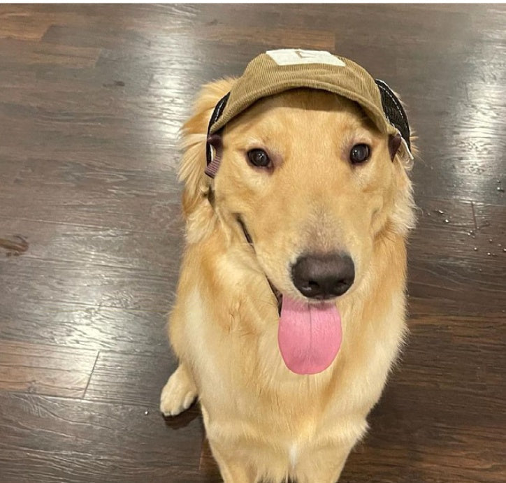 KFX-3074493 Breathable Corduroy Dog Hat with Sunscreen Protection - Brown