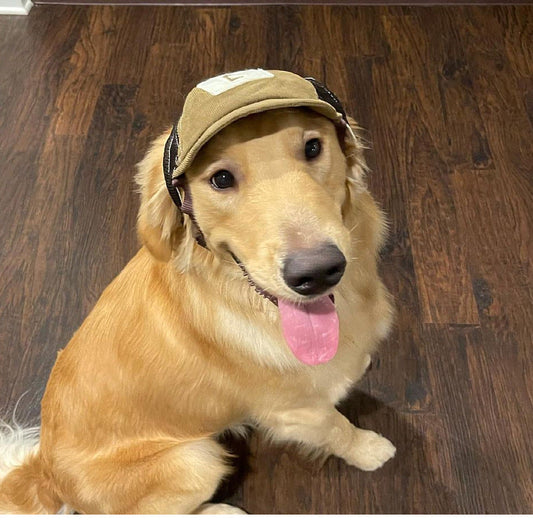 KFX-3074493 Breathable Corduroy Dog Hat with Sunscreen Protection - Brown