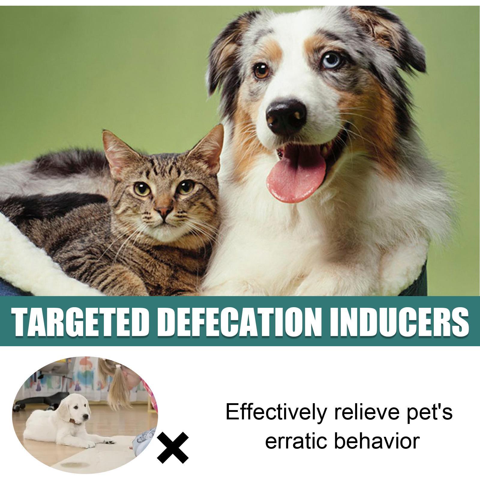 KFX-3080893 Pet Toilet Training Inducer and Urine Locator for Indoor Use