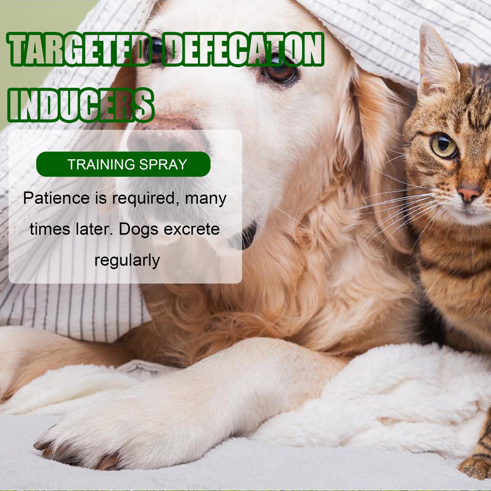 KFX-3080893 Pet Toilet Training Inducer and Urine Locator for Indoor Use