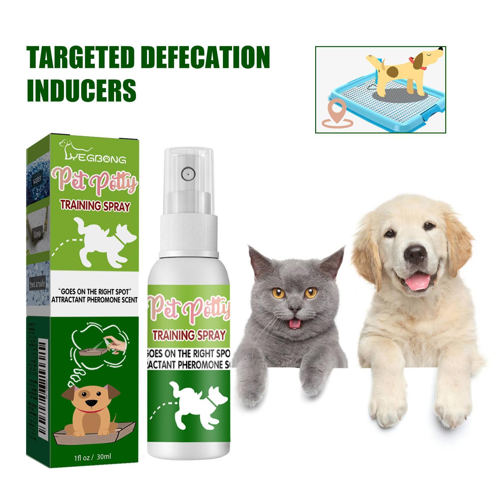 KFX-3080893 Pet Toilet Training Inducer and Urine Locator for Indoor Use