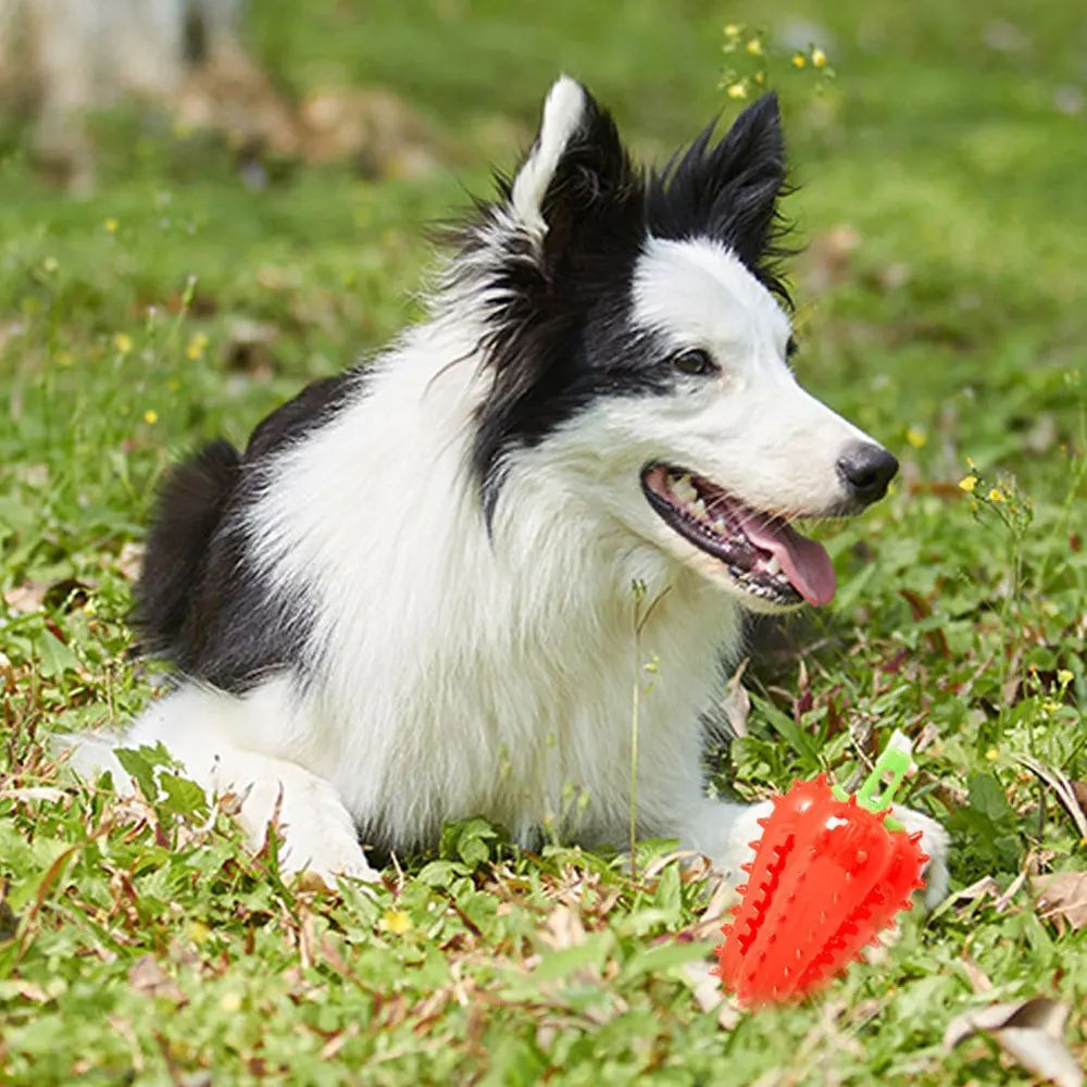 KFX-3083837 Interactive Dog Teething Chili Chewer Toy - Durable Non-Toxic Rubber for All Dog Sizes