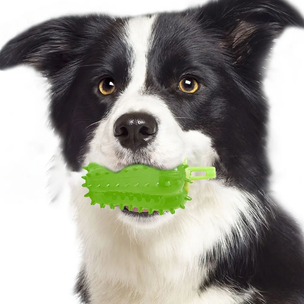 KFX-3083837 Interactive Dog Teething Chili Chewer Toy - Durable Non-Toxic Rubber for All Dog Sizes