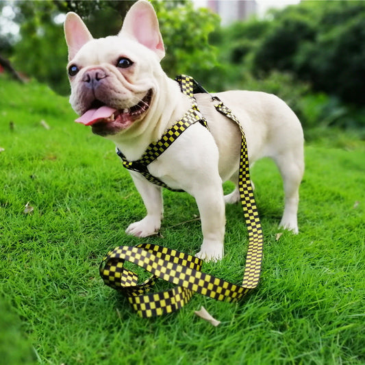KFX-3090237 Plaid Chest and Back Dog Harness with 150cm Traction Leash