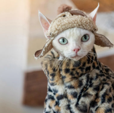 KFX-3091517 Fluffy Leopard Print Cat Coat - Short Plush Fur Clothing for Hairless Cats