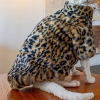 KFX-3091517 Fluffy Leopard Print Cat Coat - Short Plush Fur Clothing for Hairless Cats