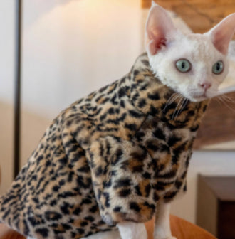 KFX-3091517 Fluffy Leopard Print Cat Coat - Short Plush Fur Clothing for Hairless Cats