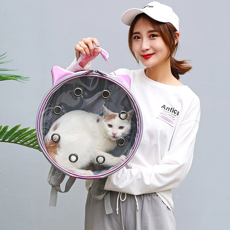 KFX-3093181 Transparent Pet Backpack for Cats and Small Dogs - Portable, Breathable Design