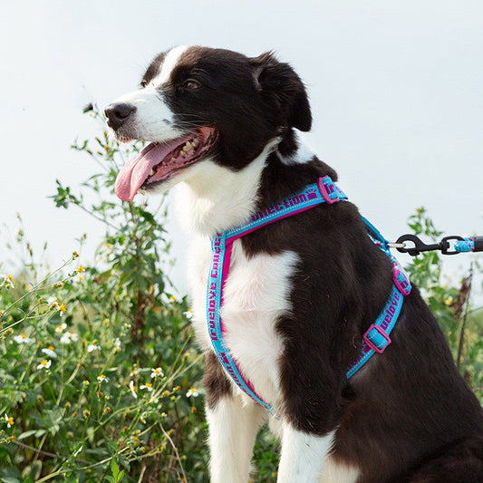 KFX-3095997 Reflective No Pull Dog Harness with Neoprene Padding - Adjustable Military Style Training Vest for Comfort and Safety