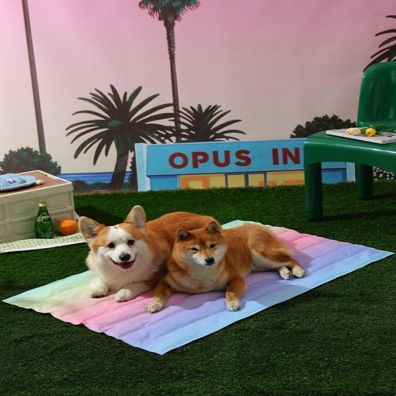 KFX-3098557 Cooling Pet Mat for Dogs - Summer Ice Pad in Various Fun Designs and Sizes