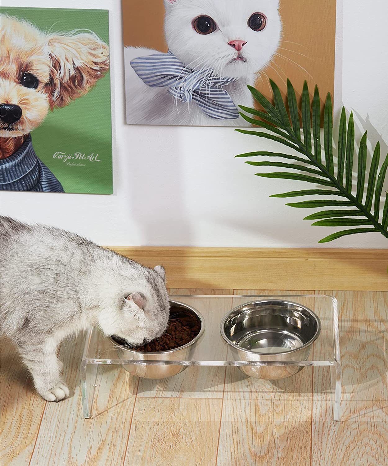 KFX-3100861 Acrylic Pet Feeder for Dogs and Cats - Environmentally Friendly Clear Feeding Rack