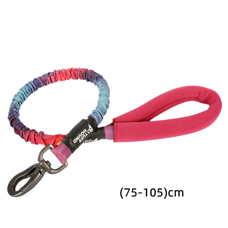KFX-3104445 Nylon Dog Traction Collar with Letter Pattern for All Seasons, Multiple Sizes Available