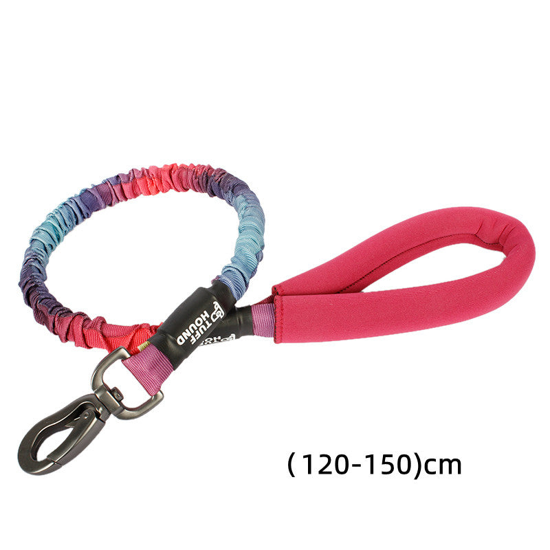 KFX-3104445 Nylon Dog Traction Collar with Letter Pattern for All Seasons, Multiple Sizes Available