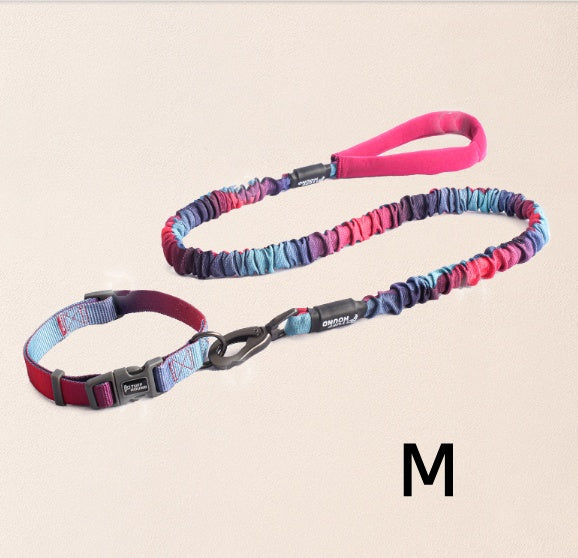 KFX-3104445 Nylon Dog Traction Collar with Letter Pattern for All Seasons, Multiple Sizes Available