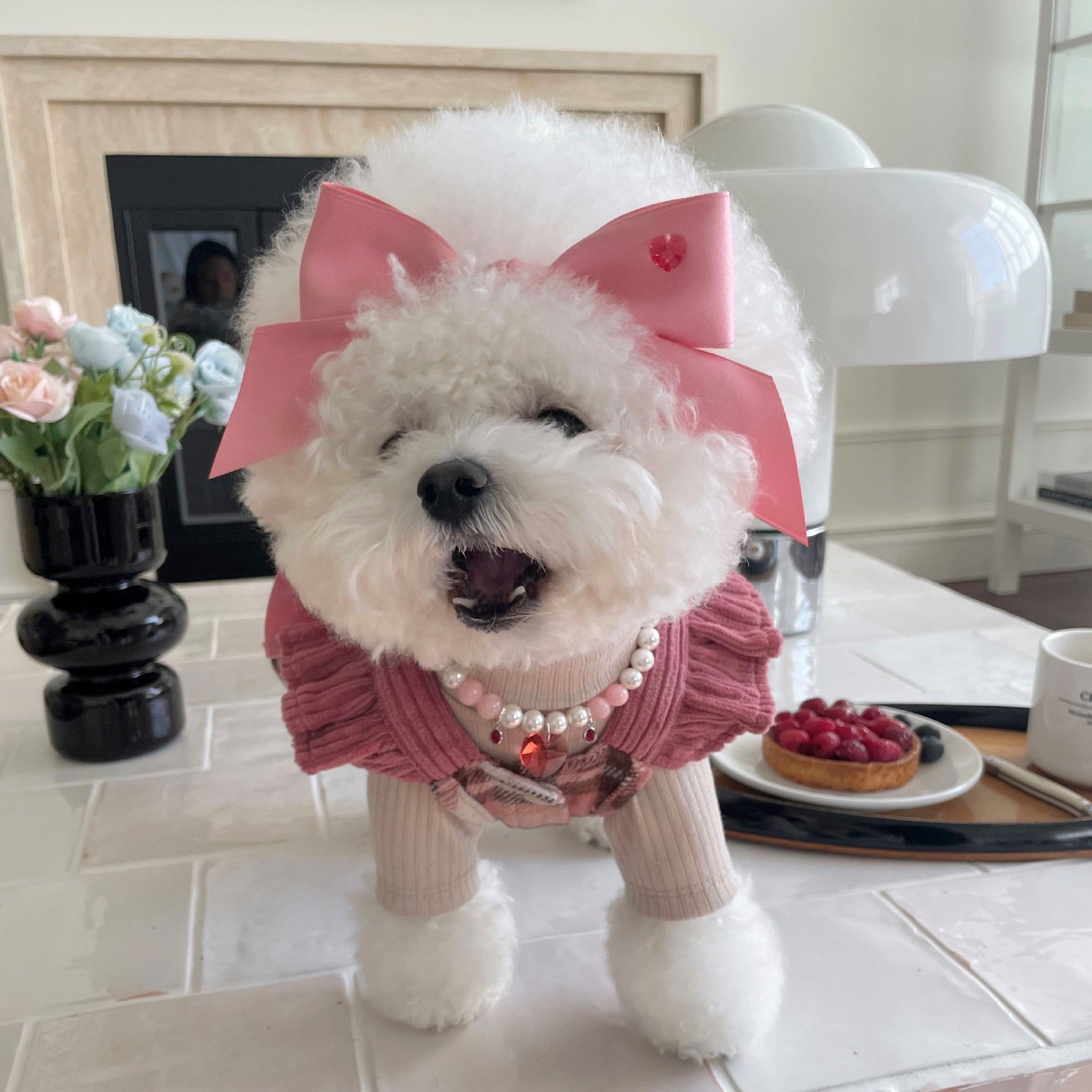 KFX-3107261 Princess Bow Tension Adjustment Pet Hair Band for Dogs - Available in Blue and Pink
