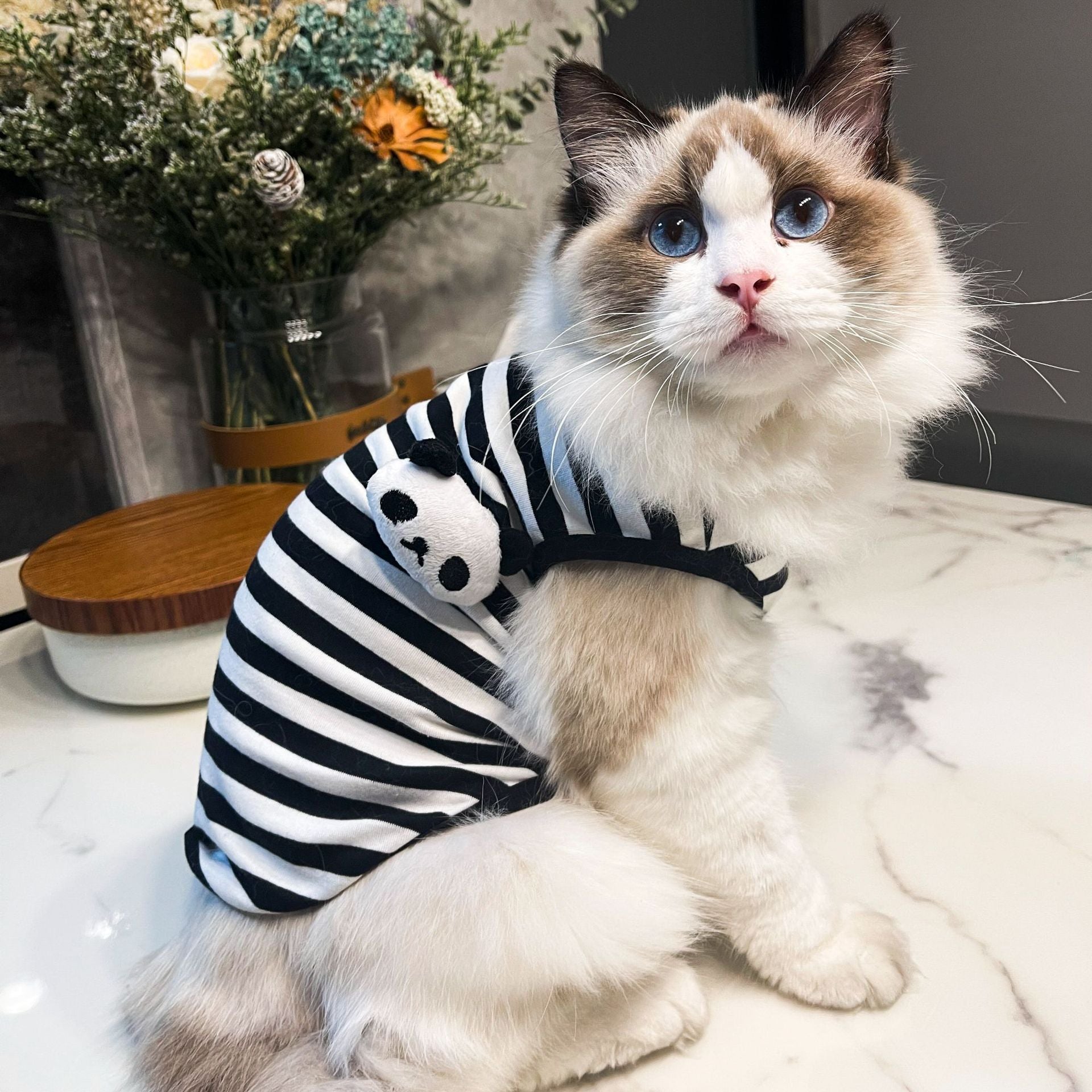 KFX-3108029 Striped Vest for Small Dogs - Black and White Panda or Light Green Frog Design