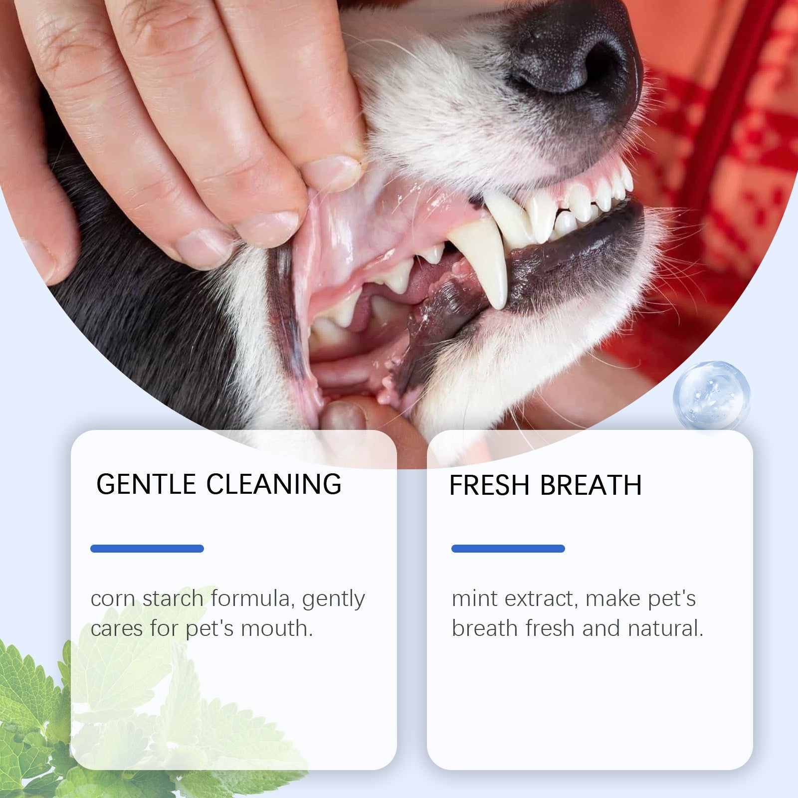 KFX-3110077 Pet Dental Cleaning Powder for Cats and Dogs - Effective Oral Care Solution