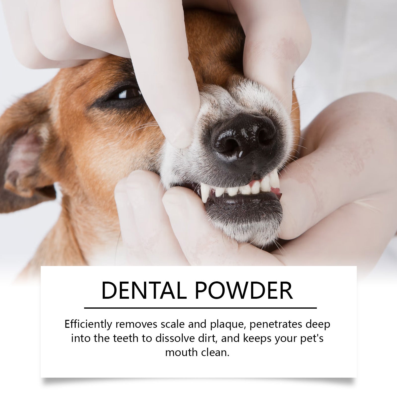 KFX-3110077 Pet Dental Cleaning Powder for Cats and Dogs - Effective Oral Care Solution