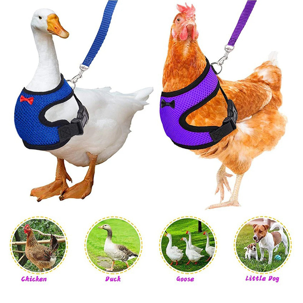 KFX-3115453 Poultry Vest Harness with Matching Collar for Ducks and Chickens - Multiple Sizes Available