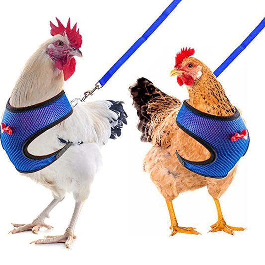 KFX-3115453 Poultry Vest Harness with Matching Collar for Ducks and Chickens - Multiple Sizes Available