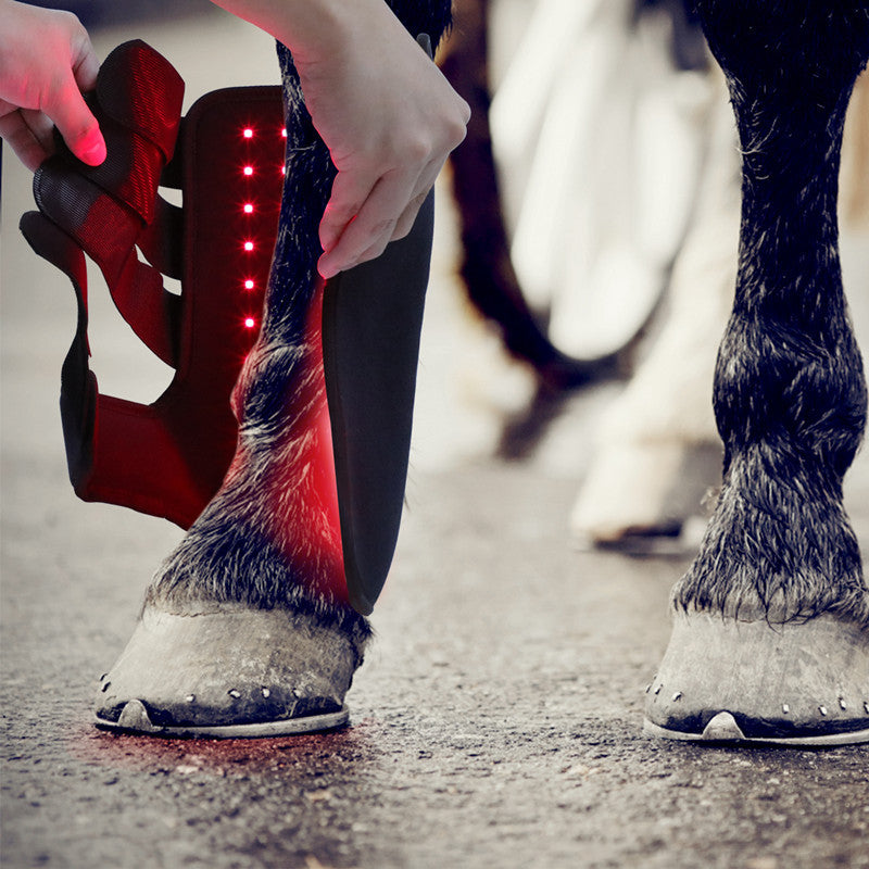 KFX-3115581 Red Light Infrared Phototherapy Device for Horse Leg Recovery and Wound Healing